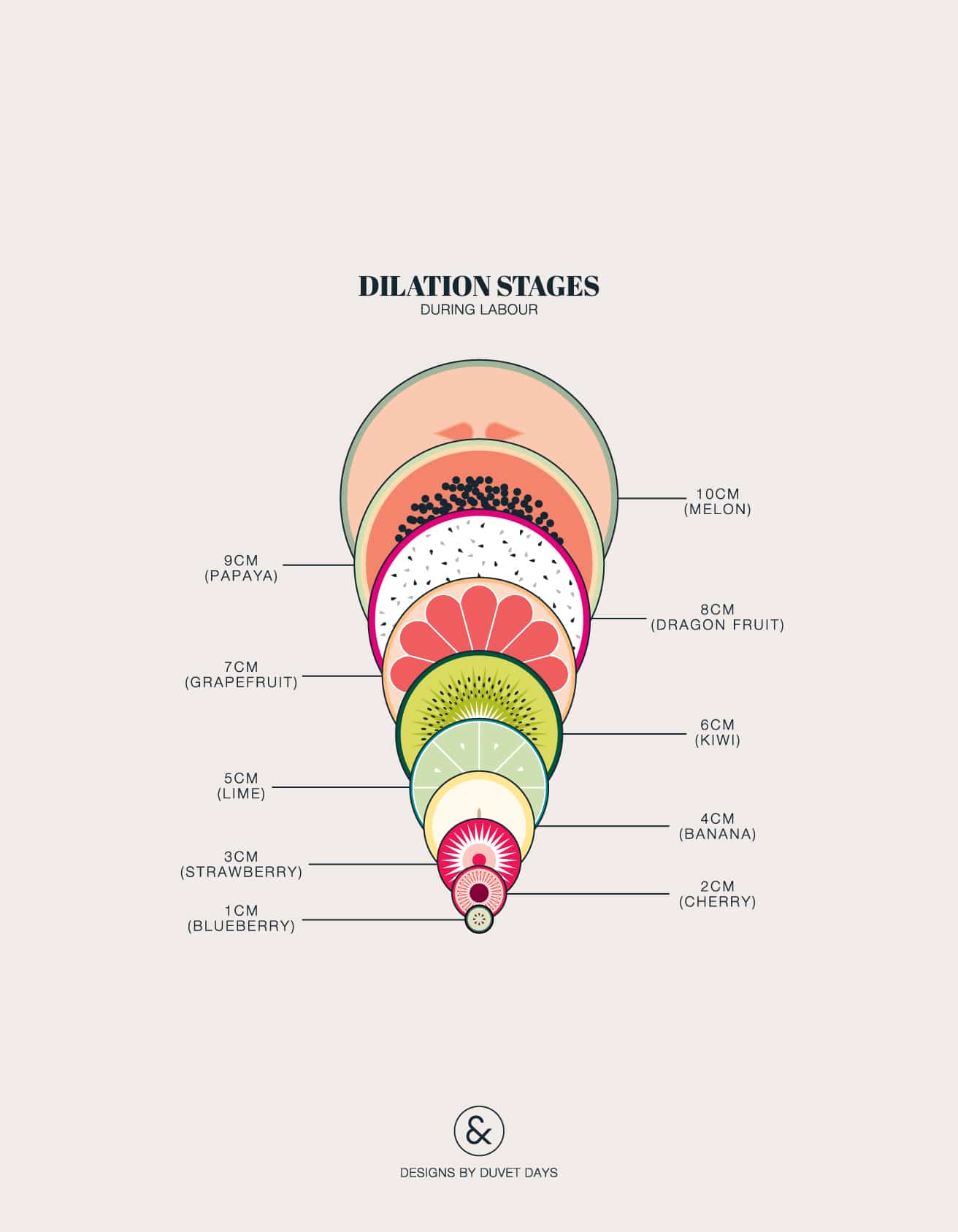 Dilation Stages During Labour - DesignsByDuvetDays