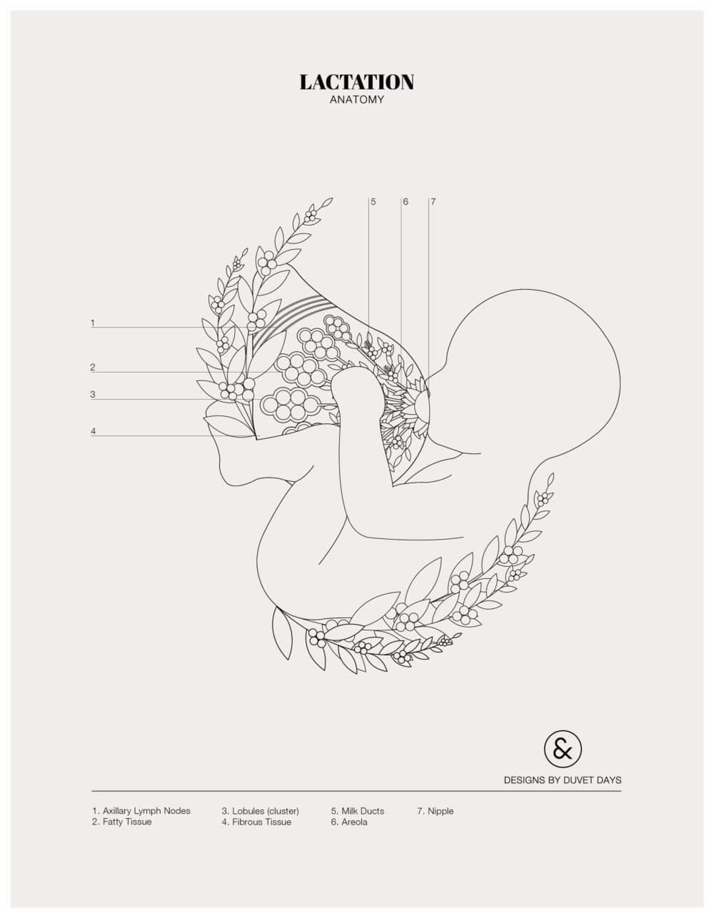 Designs By Duvet Days_8.5x11_Lactation_Colouring Sheet_Preview