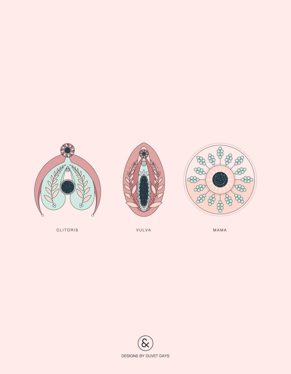 Duvet Days_Anatomy Illustrations_8.5x11_Clitoris Vulva Breast_Preview-01