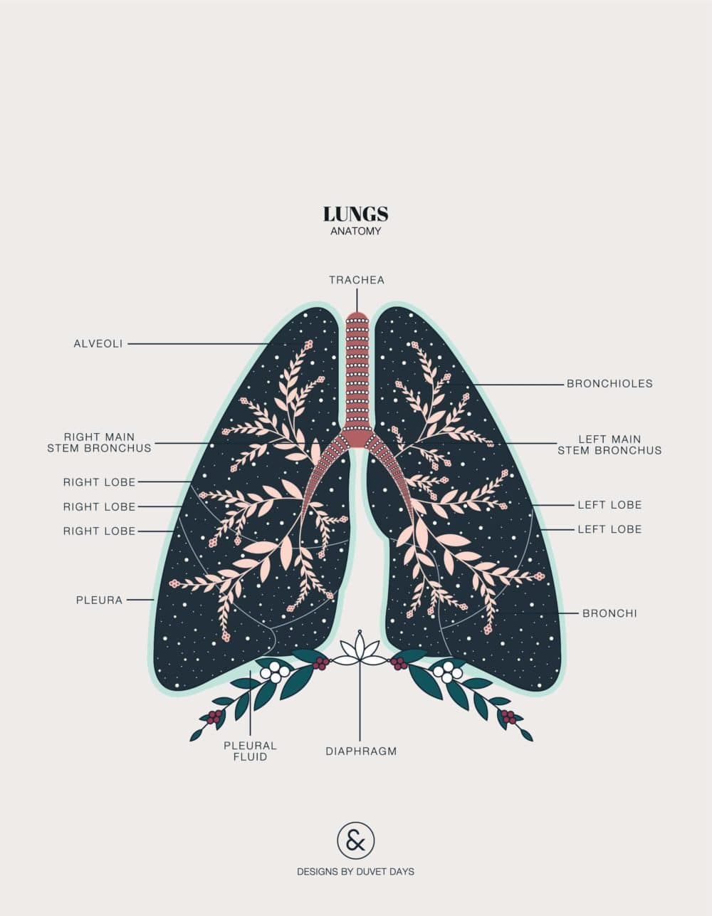 Duvet Days_Anatomy Illustrations_8.5x11_Lungs_Preview-01