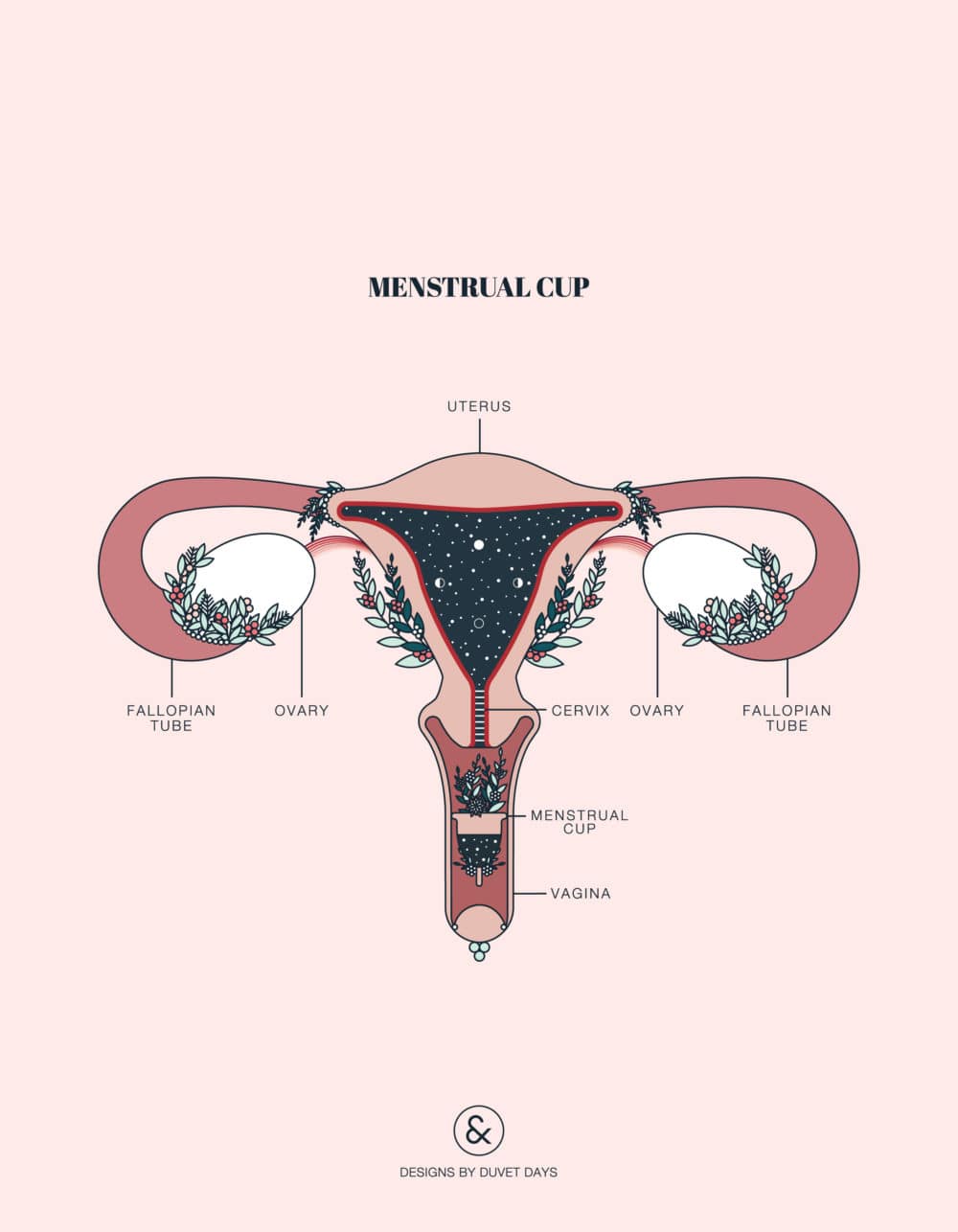 Duvet Days_Anatomy Illustrations_8.5x11_Menstrual Cup_Preview