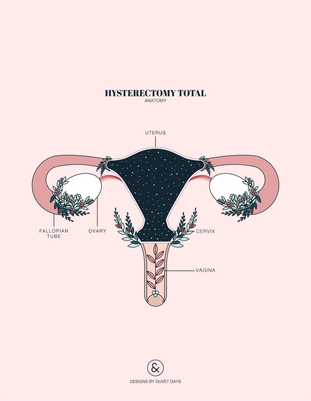 Duvet Days_Anatomy Illustrations_8.5x11_Hysterectomy Total_Preview