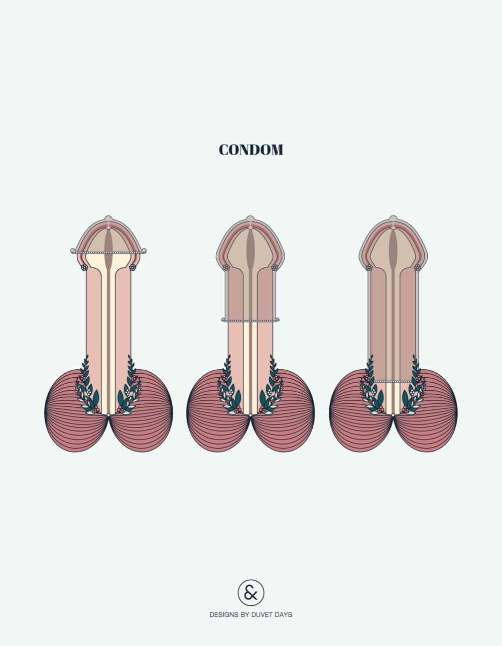Duvet Days_Anatomy Illustrations_8.5x11_Condom_Preview