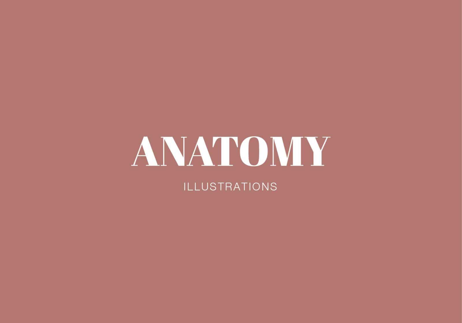 designs by duvet days_category_anatomy