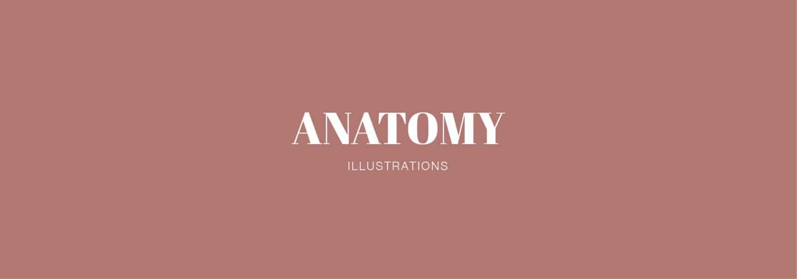 designs by duvet days_category_anatomy_small