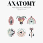 anatomy_colouring book_Preview-01