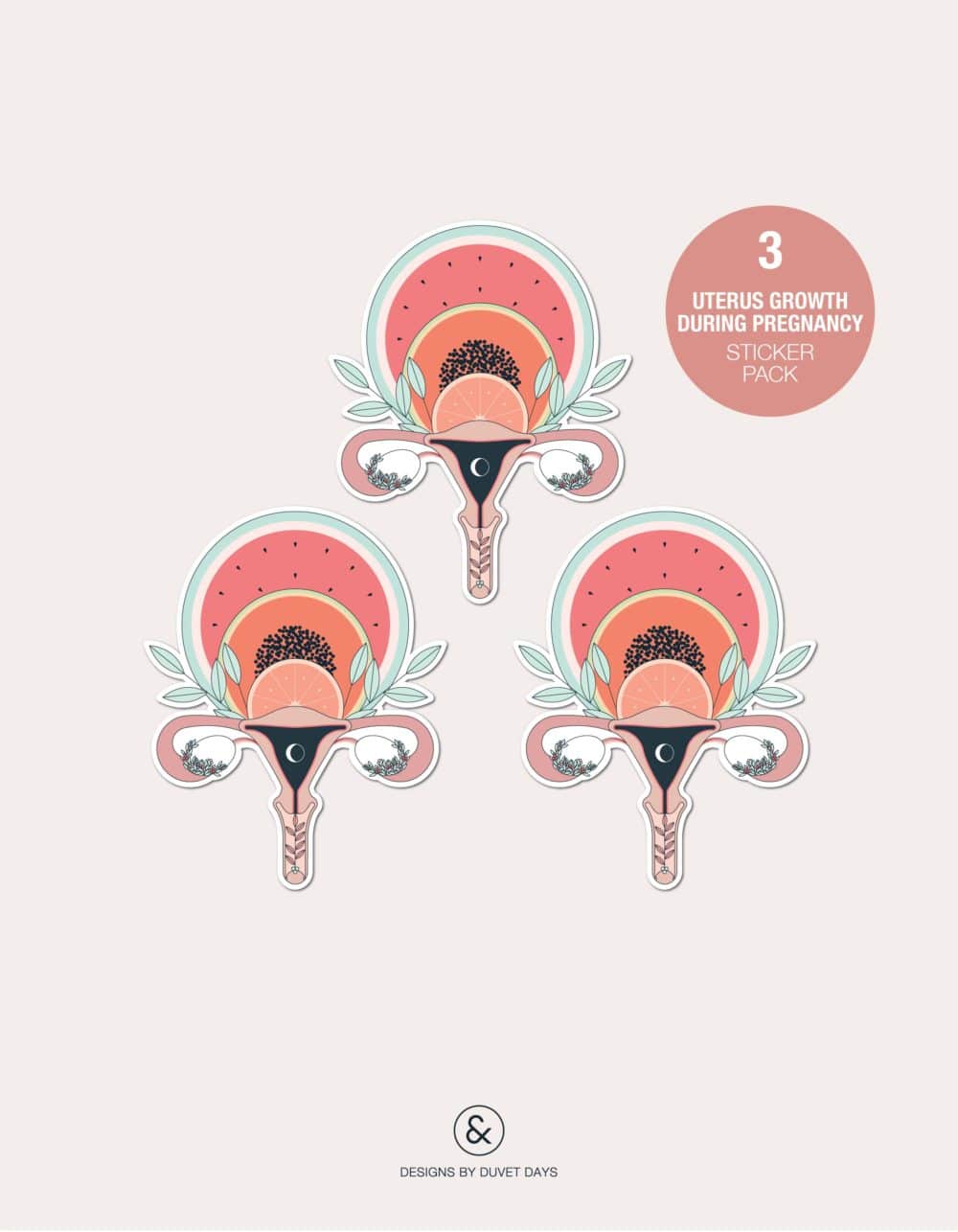 Designs By Duvet Days_Stickers_Uterus Growth During Pregnancy